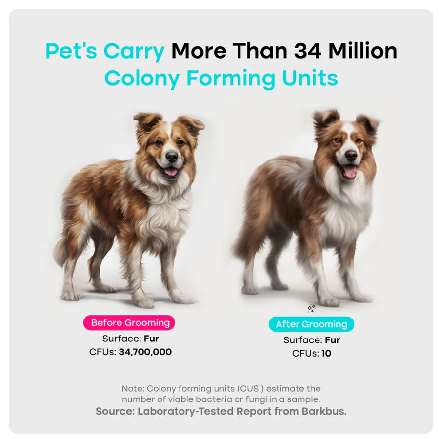 GlobaleJi Pet Grooming Kit