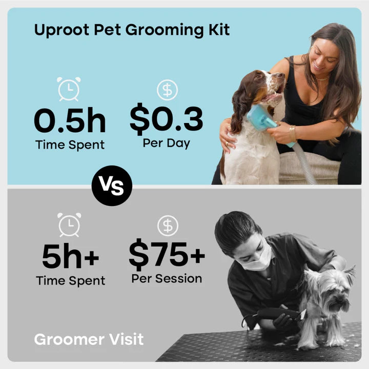 GlobaleJi Pet Grooming Kit